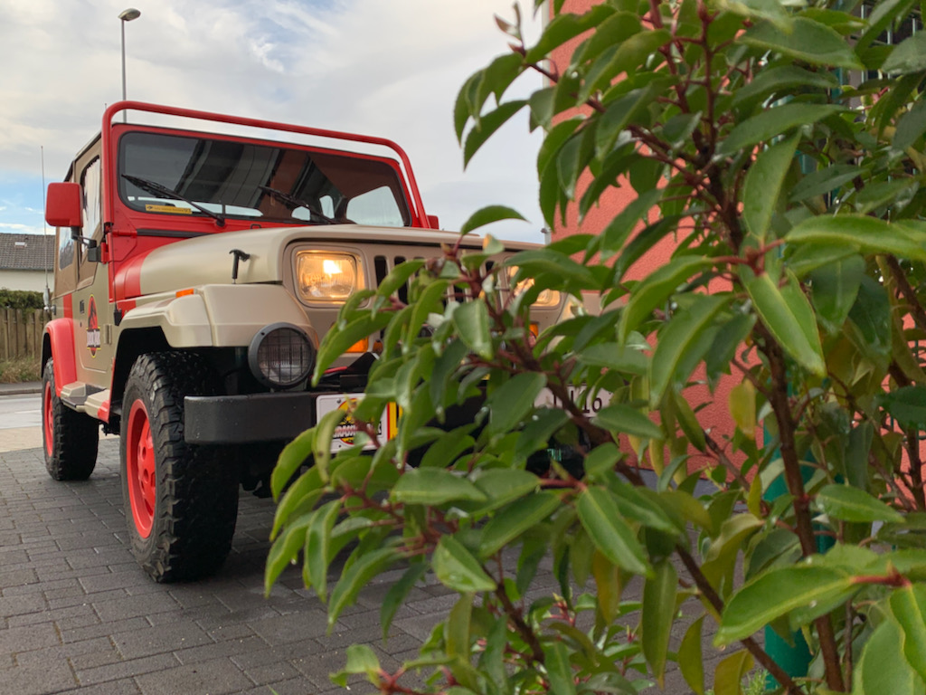 Jeep Wrangler Sahara in einer Einfahrt in Erftstadt